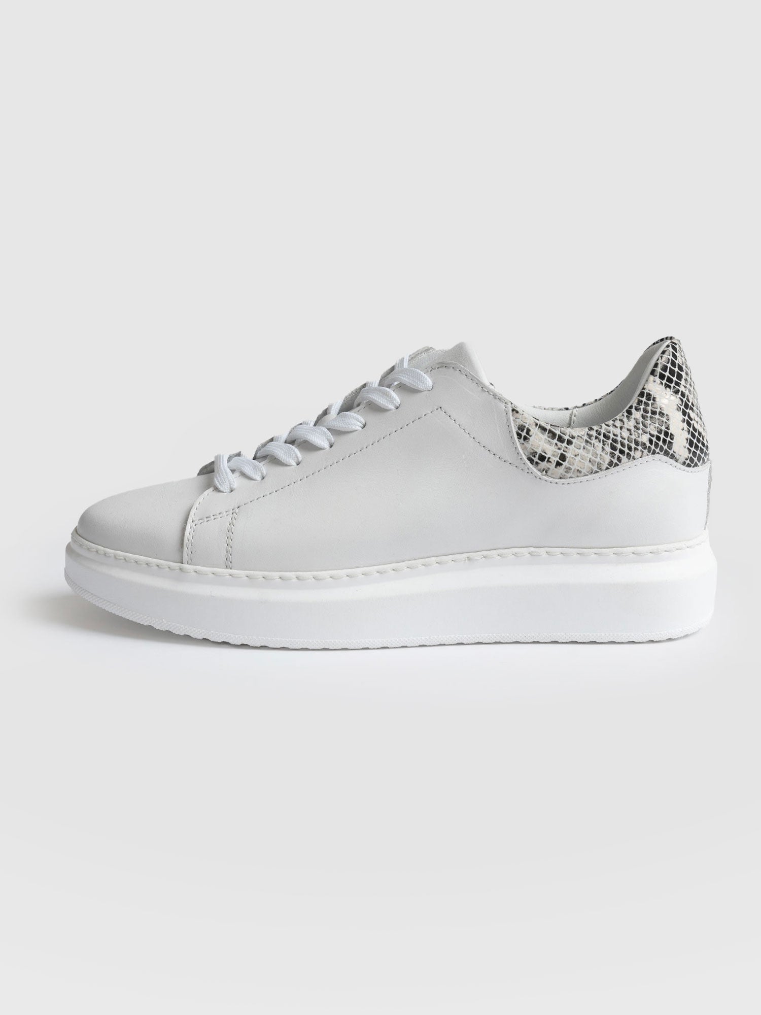 Hampstead Trainer - Snake